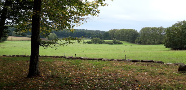 Park von Schloss Hohenzieritz