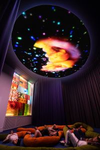 gb19 p pipilotti rist homo sapiens sapiens klein