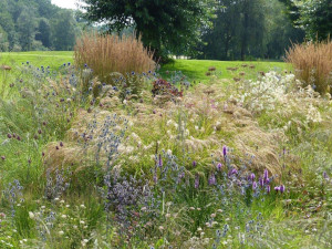 PF golfplatz 3