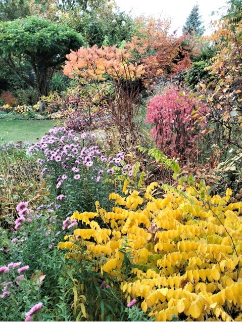 gartenbesichtigung bb 10 2023 2