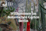 botanischer garten berlin