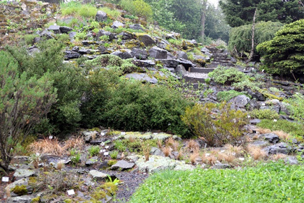 botanischer garten jena 2
