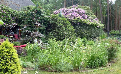 waldgarten 2