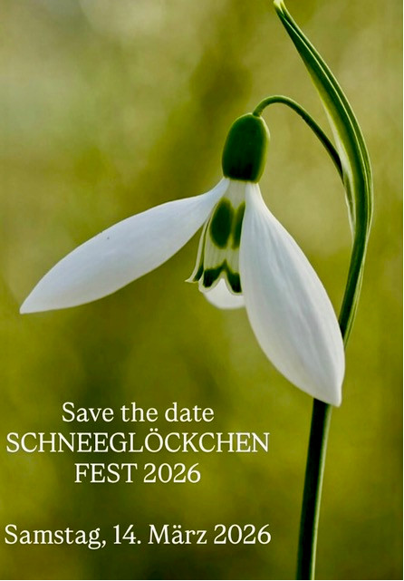 schneegloeckchenreise oberbayern