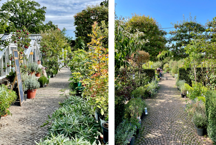 koenigliche gartenakademie 1