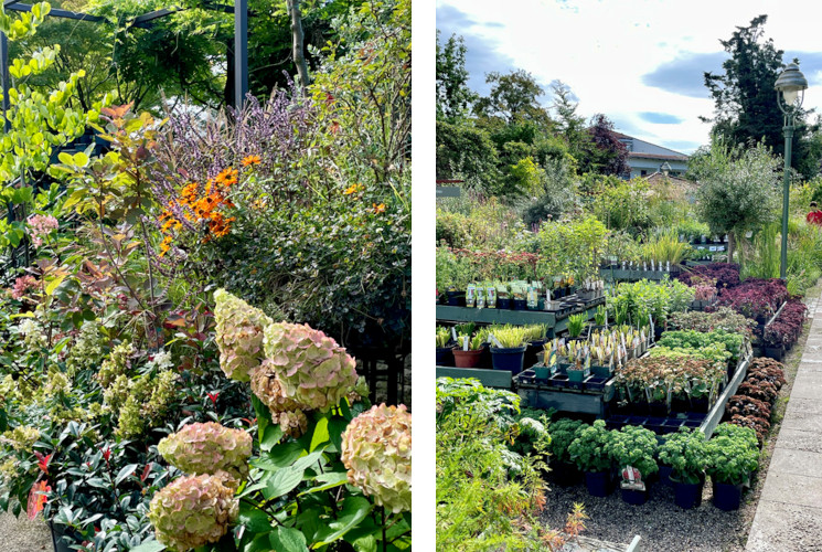 koenigliche gartenakademie 2