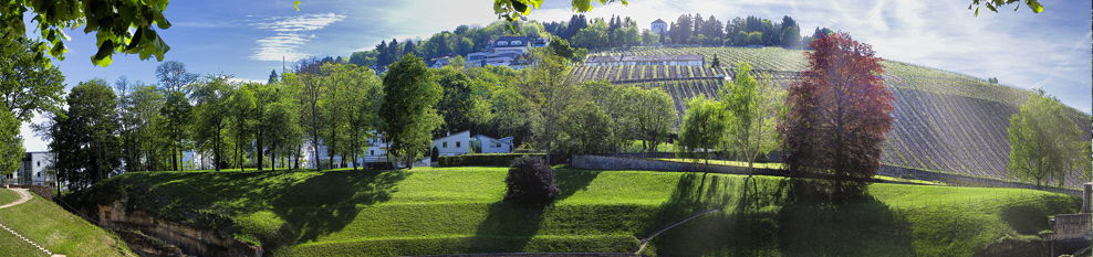 banner saar mosel ausschnitt