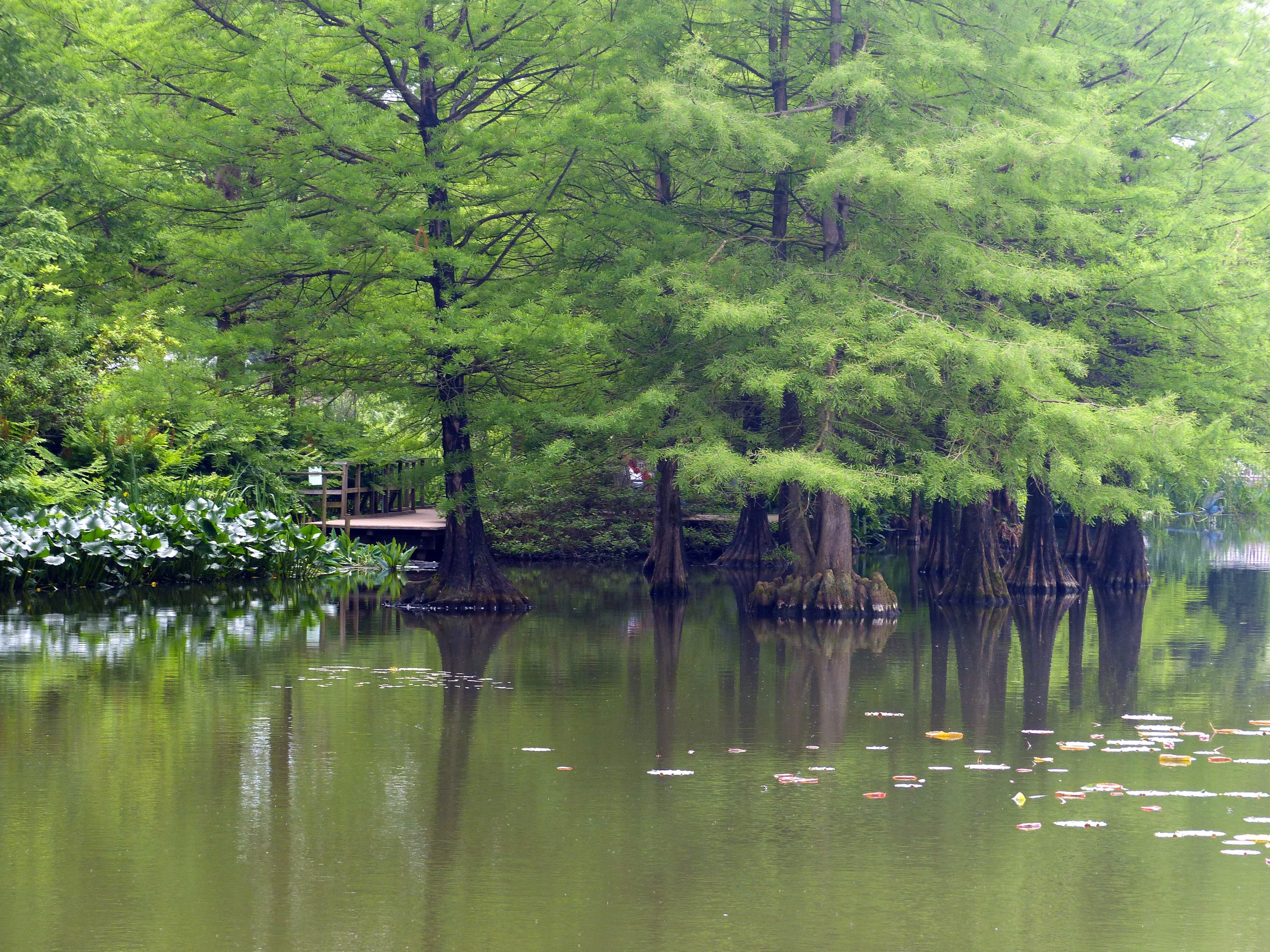 Arboretum Ellerhoop